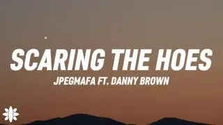 Jpegmafia  - Scaring The Hoes (Lyrics) Ft. Danny Brown