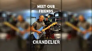 Meet our friends 