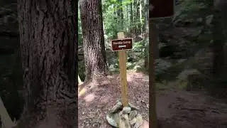 Nordic Loop Trail w Small stream.