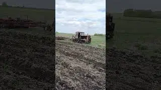 Трактор Т-74 с  культиватором  КПЭ #дт75 #dt75 #farming #синийтрактор #agriculture #вспашка