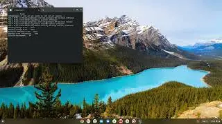 How to Enable GPU Acceleration in Linux on Chromebook Chrome OS