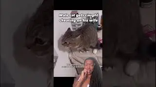 HE GOT CAUGHT CHEATING!