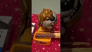 Taking schoko 🍪  sticks von Sondey #ASMR #maddog viral shorts #satisfying sounds (2)