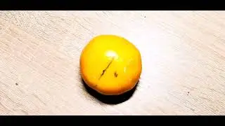 Непрерывный шов. ASMR. Хирургические инструменты. Наложение шва на мандарин.