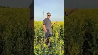 5 правил