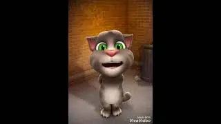 Hapa Dollapa