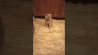 Вот так просто-сел и спи🤭
