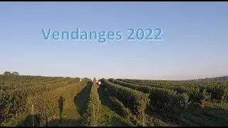 Vendanges 2022. part .1
