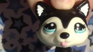 LPS MV Believer