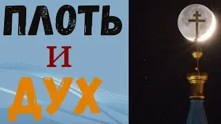 Плоть и Дух! Святитель Тихон Задонский