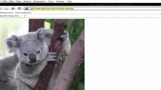 iPhone Programming-Loading image with URL in an UIImageView