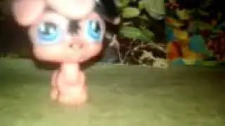 Lps 5 типов мам