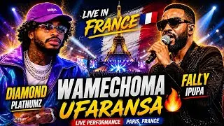 DIAMOND PLATINUMZ & FALLY IPUPA - performed live at France |Vc Alikiba 🤣
