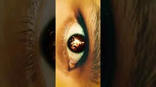 Smooth eye zoom transition in Premiere Pro 