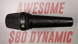 Lewitt MTP 250 DM Dynamic Mic Review / Test (with SM58, sE v7, E835 &M1 Comparison)