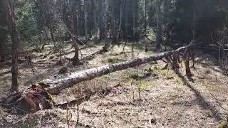 Четвертый на четыре.