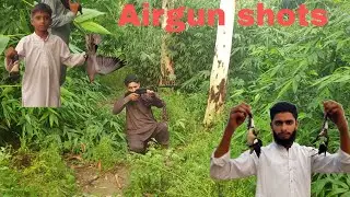 Mix birds hunting with airgun | pigeon hunting with air rifle |