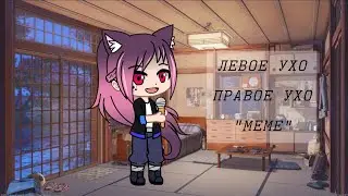 Левое ухо, правое ухо "МЕМЕ"