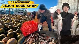 ДЕХКОН  БОЗОР  НАРХЛАРИ   16-ОКТАБРЬ  БОГОТ  ТУМАНИ  !