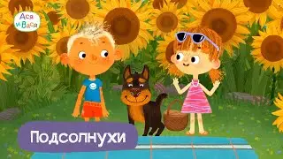 Подсолнухи - Ася и Вася I ПРЕМЬЕРА l мультфильмы для детей 0+