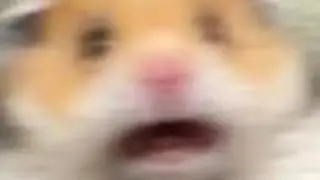 SKIBIDI MEME || I forgot to post this