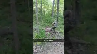 Good shot