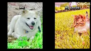 My pets for you cause i wanted to post them