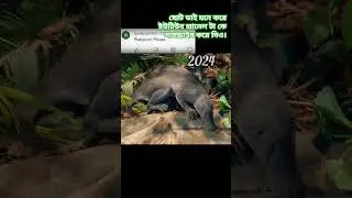 2024 platypus and 5000bce platypus || Past animals ||#shorts #Trend #trend #new #evolution #today