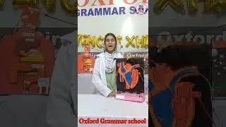 heart system • | Oxford Grammar school Shahdara town campus