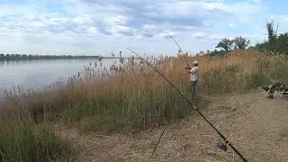ВОДА КИПИТ ОТ РЫБЫ ЖОР КРУПНОЙ РЫБЫ ЛОВЛЯ ГОЛАВЛЯ НА ВОЛГЕ РЫБАЛКА НА ЗАКИДУШКИ РЫБАЛКА 2021