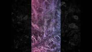 Анатолий Приставкин. Ночевала тучка золотая. Часть 4.