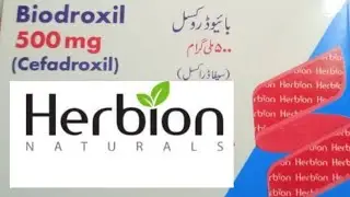 Biodroxil 500 mg | Cefadroxil 500 mg tablet uses in urdu | Cedrox bd 500 mg capsules in urdu