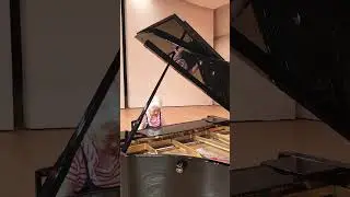 モーツァルト　トルコ行進曲【独り占めピアノ】羽生市産業文化ホール