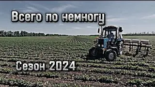 ТО комбайна Палессе GS12, междурядная культивация сои.