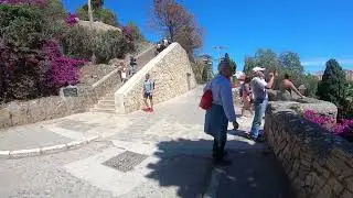 Flowers of Alcazaba - Malaga Spain - Costa Del Sol
