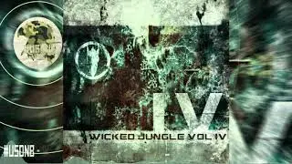 FOTH - When I Rumble [Wicked Jungle]