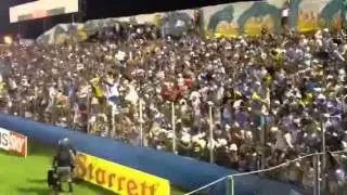 TERROR BICOLOR - Agitando depois do 2° gol do Pikachu
