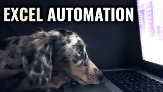 Excel Automation Basics: You Deserve More Than Entering Data in a Spreadsheet