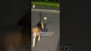 Подробности в комментариях ➡️