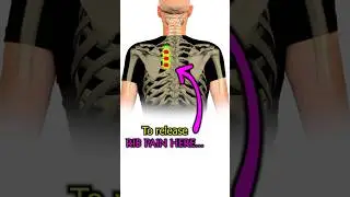 Fix Upper Back Pain (