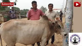 My visit to Rajshahi City Hat to buy an OX # The Sacrifice of Eid-Ul- Adha-2024 #AbdusSalamMondol