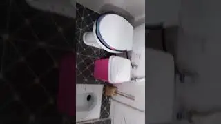 Zamonavi kafel va oshxona aboʻylar