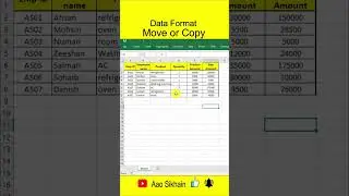 Data Format Move or Copy in excel