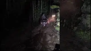 #назаре #ночьвлесу #ночь #квадроцикл #offroad #atvlife #оффроад #atv #покатушки #atvlifestyle