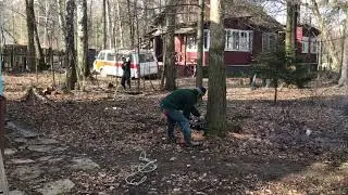 Спиливаем аварийные деревья