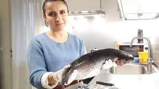 #Ձուկ