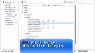 TeamSpeak 3 Yetki Ayarlama