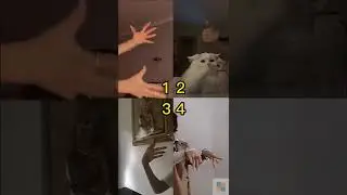 Pick Your Best? 😍 Tiktok Compilation 💘 Pinned your comment 📌#289 #shorts #dance #ytviral #ytshorts