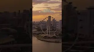 Aura Points SG Edition