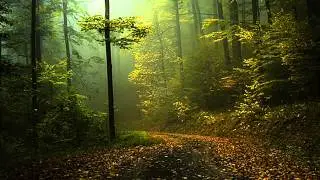 Dimitrios P. Naskos - Paths Of Life